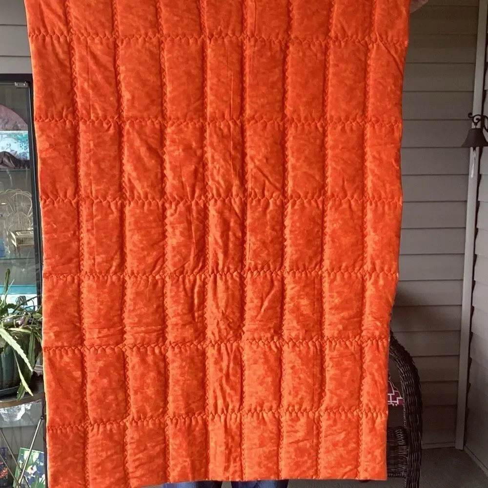 Hand Crafted Brights Fish and Reptile Children’s Quilt